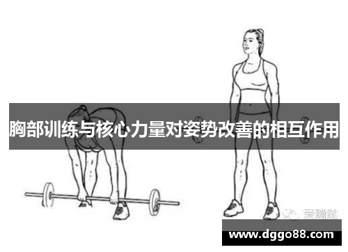 胸部训练与核心力量对姿势改善的相互作用